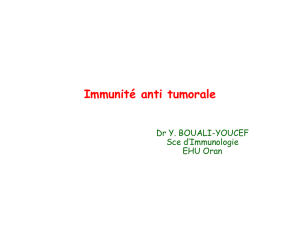 Immunité anti tumorale