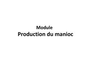 Production_manioc_15_11_16_corrigé