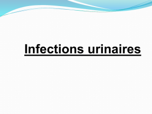 Infections urinaires Schémas de l`arbre urinaire