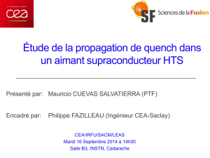 CUEVAS_Presentation_soutenance_2014 - CEA-Irfu
