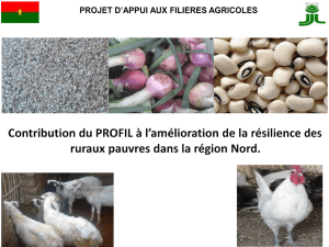 Présentation du Projet d`appui aux filières agricoles (PROFIL)