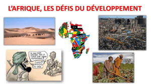 L`Afrique, les défis du développement