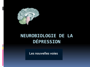 Neurobiologie de la dépression