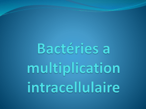 Bactéries a multiplication intracellulaire