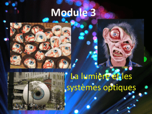 Module 3 - Theme 5, 6, 7, 8