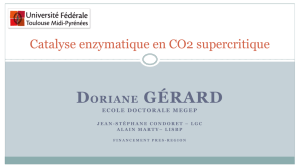 Template_seminaire_APR2013_Doriane