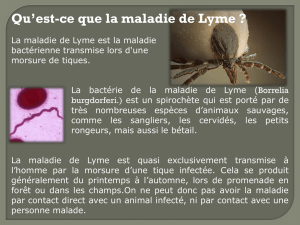 Qu`est-ce que la maladie de Lyme