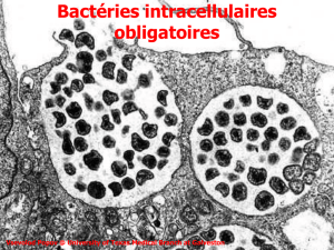 Bactéries intracellulaires obligatoires - Roneo`07