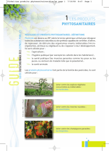 Fiche1-Les produits phytosanitaires:Mise en page 1
