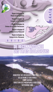 Région écologique 6c (Plaine du lac Opémisca)
