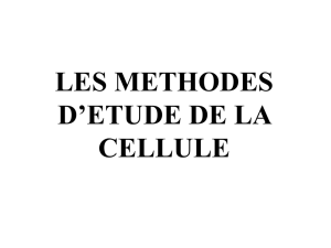 LES METHODES D`ETUDE DE LA CELLULE