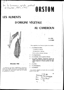 Les aliments d`origine végétale au Cameroun