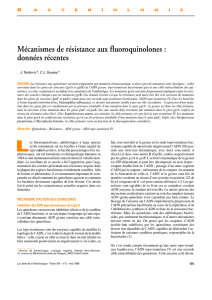 Mécanismes de résistance aux fluoroquinolones : données récentes