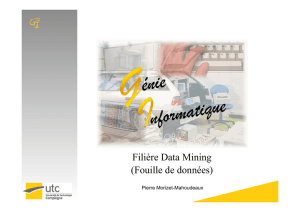 Filière Data Mining (Fouille de données)