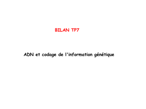 BILAN TP7 ADN et codage de l`information génétique