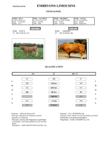 EMBRYONS LIMOUSINS