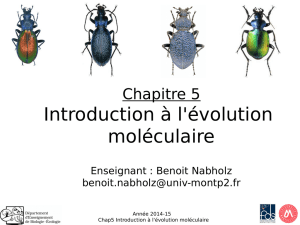 Chap V : Introduction à l`évolution moléculaire
