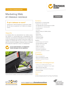 Marketing Web et réseaux sociaux