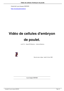 Vidéo de cellules d`embryon de poulet.