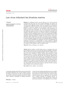 Les virus infectant les bivalves marins