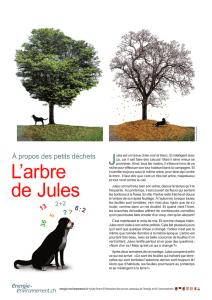 L`arbre de Jules - energie