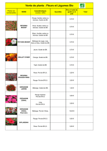 Vente de plants : Fleurs et Légumes Bio