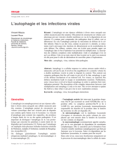 L`autophagie et les infections virales
