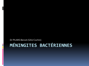 Méningites bactériennes