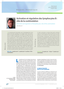 Activation et régulation des lymphocytes B : rôle de la costimulation