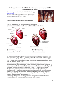 Cardiomyopathie obstructive - Cabinet Vétérinaire