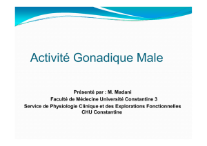 Physiologie gonades 2 (male) - Université de Constantine 3