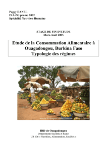 Etude de la consommation alimentaire à Ouagadougou, Burkina Faso