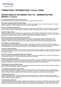 FORMATIONS / INFORMATIQUE / Oracle / SGBD OR-004