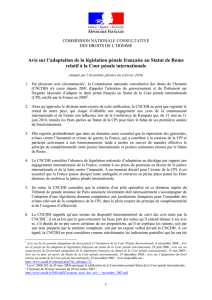 10.02.04 Avis adaptation législation française au Statut de Rome