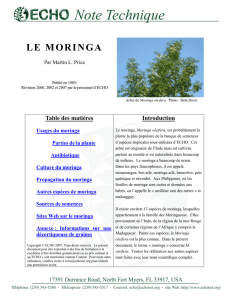 le moringa - Miracle Tree