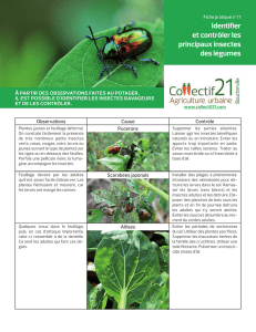 Fiche 11 – Identifier et contrôler les insectes des