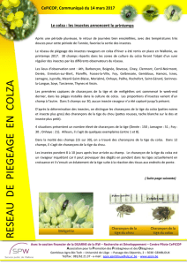 Le colza : les insectes annoncent le printemps - Gembloux Agro