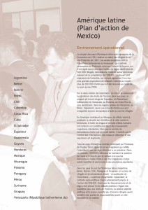 Amérique latine (Plan d`action de Mexico)