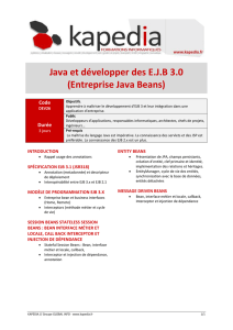 Java et développer des E.J.B 3.0 (Entreprise Java Beans)