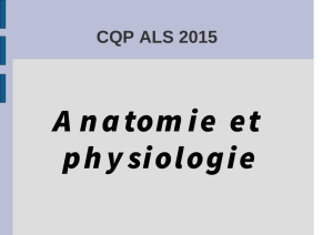 anatomie et physiologie CQP