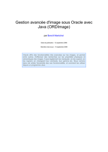 Gestion avancée d`image sous Oracle avec Java (ORDImage)