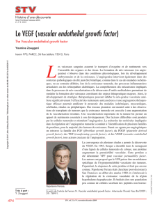 Le VEGF (vascular endothelial growth factor)