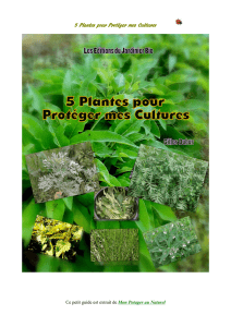 5 plantes pour protéfer vos cultures