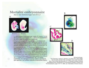 Mortalité embryonnaire