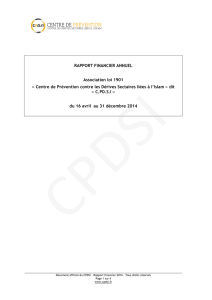 Rapport financier CPDSI 2014