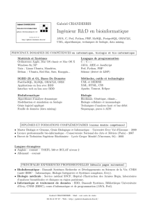 CV au format Acrobat Reader  - Chandesris, Gabriel
