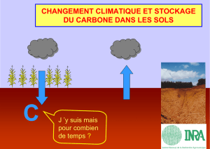 changement climatique et stockage du carbone dans les sols