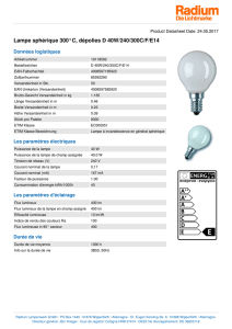 Lampe sphérique 300°C, dépolies D 40W/240/300C/F/E14