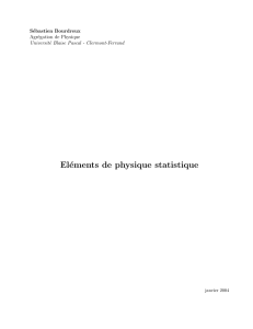 Eléments de physique statistique