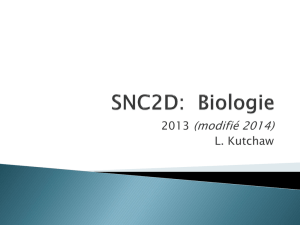 SNC2D: Biologie